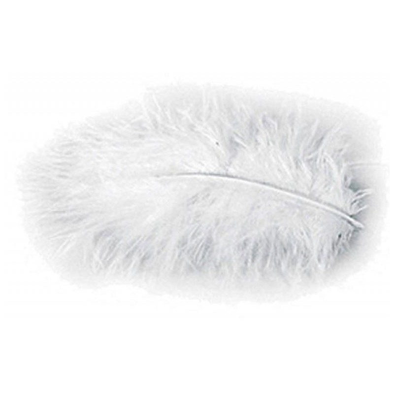 PLUMES 10GR BLANC 5-10CM