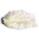 PLUMES 10GR IVOIRE 5-10CM