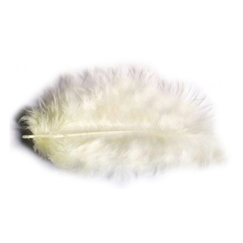 PLUMES 10GR IVOIRE 5-10CM