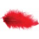 PLUMES 10G 5-10CM ROUGE