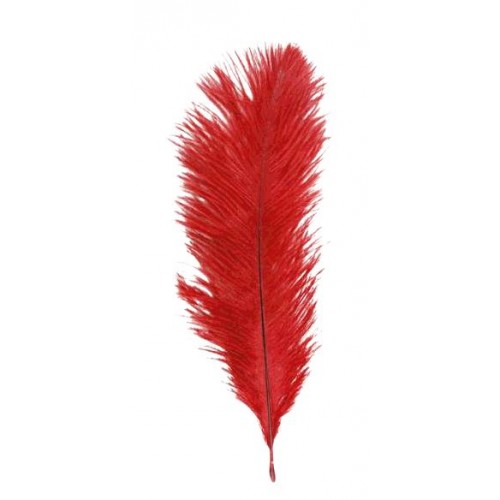 SACHET 5 PLUMES 20-25CM ROUGE