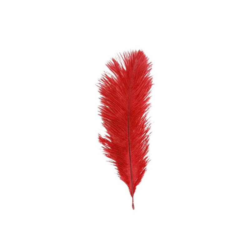 SACHET 5 PLUMES 20-25CM ROUGE