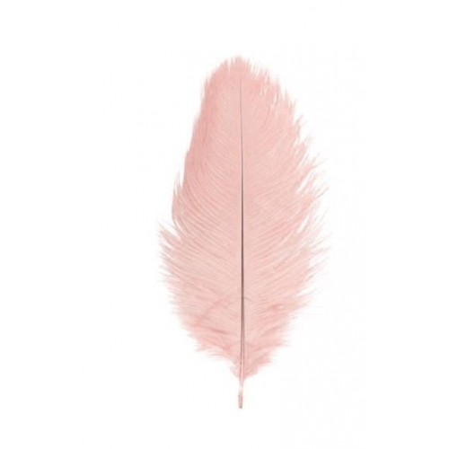 SACHET 5 PLUMES 20-25CM V.ROSE