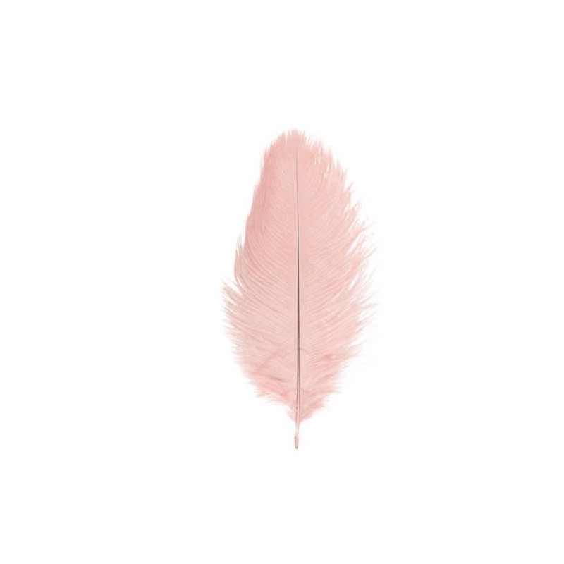 SACHET 5 PLUMES 20-25CM V.ROSE