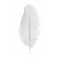 2 PLUMES AUTRUCHE BLANC 30CM