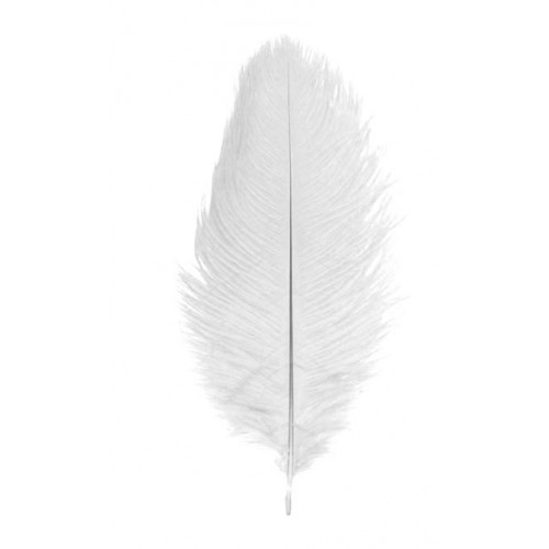 2 PLUMES AUTRUCHE BLANC 30CM