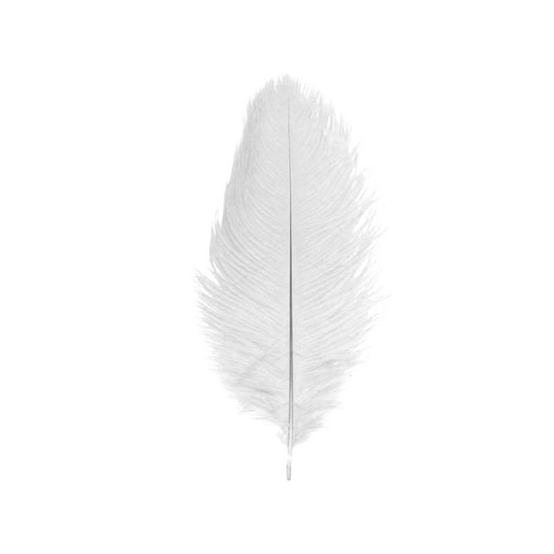 2 PLUMES AUTRUCHE BLANC 30CM