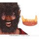 DENTS AVEC CANINES LOUP GAROU