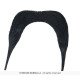 MOUSTACHE CHINOIS