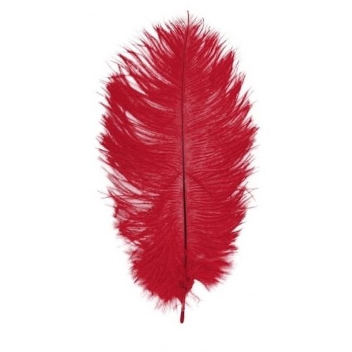 2 PLUMES AUTRUCHE ROUGE 30CM