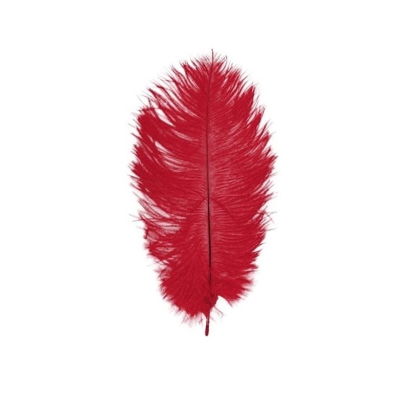 2 PLUMES AUTRUCHE ROUGE 30CM