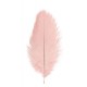 2 PLUMES AUTRUCHE V.ROSE 30CM