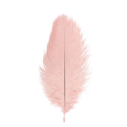 2 PLUMES AUTRUCHE V.ROSE 30CM