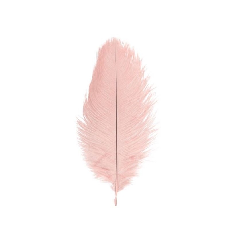 2 PLUMES AUTRUCHE V.ROSE 30CM