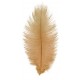 2 PLUMES AUTRUCHE TAUPE 30CM