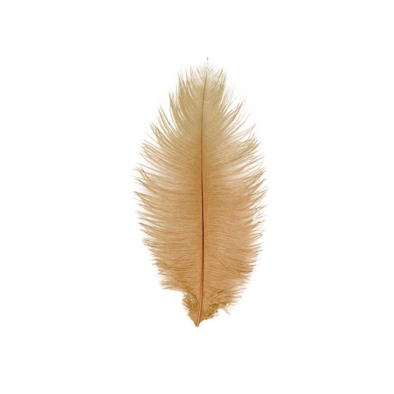 2 PLUMES AUTRUCHE TAUPE 30CM