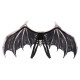 AILES CHAUVES-SOURIS WISTERIA