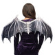 AILES CHAUVES-SOURIS WISTERIA