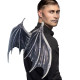 AILES CHAUVES-SOURIS WISTERIA