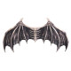 AILES CHAUVES-SOURIS WISTERIA