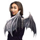 AILES CHAUVES-SOURIS WISTERIA