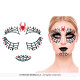 ARAIGNÉE GLITTER FACE