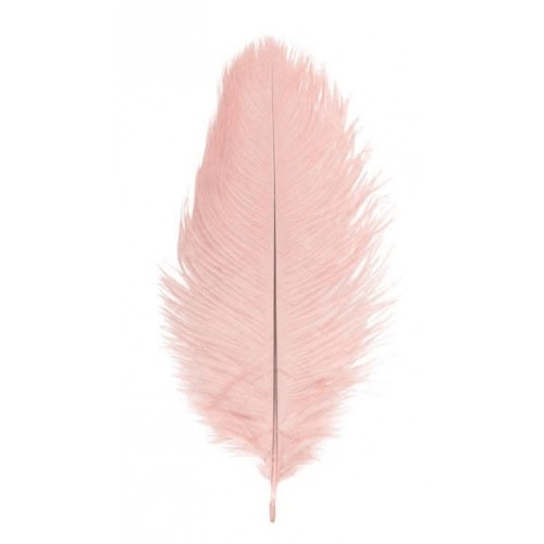 1 PLUME AUTRUCHE V.ROSE55-60CM