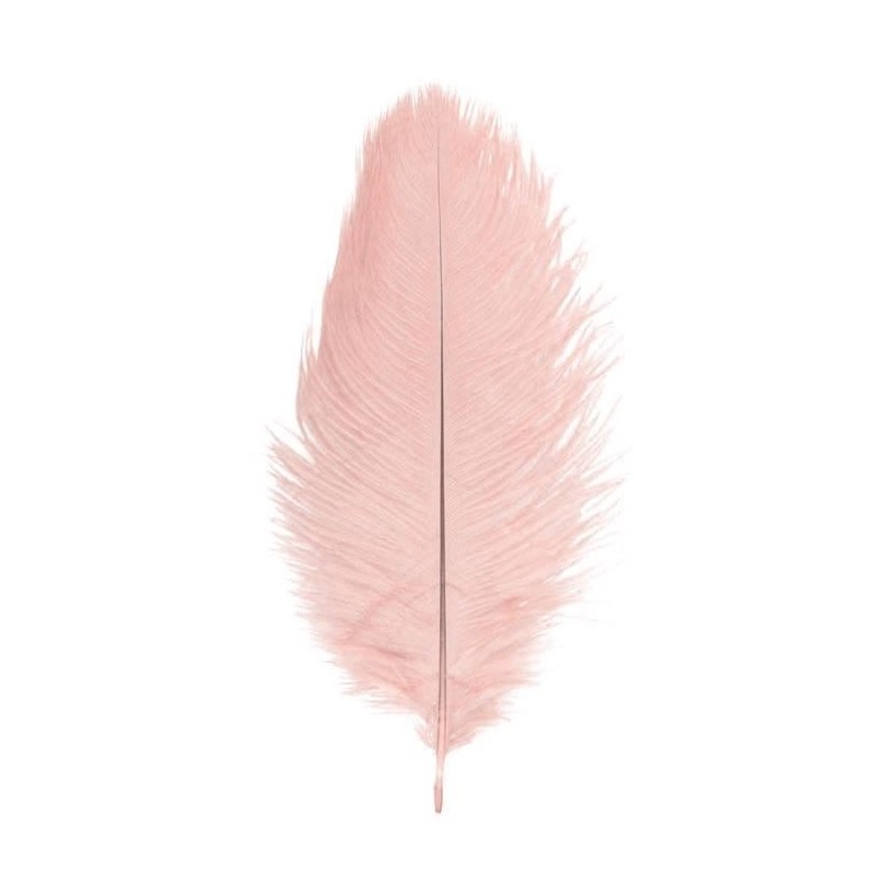 1 PLUME AUTRUCHE V.ROSE55-60CM