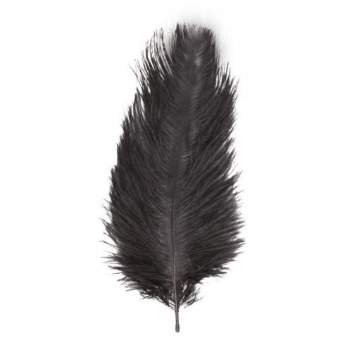 1 PLUME AUTRUCHE NOIR 55-60CM