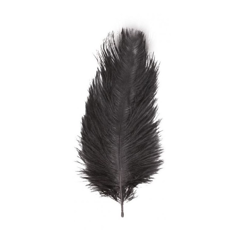 1 PLUME AUTRUCHE NOIR 55-60CM