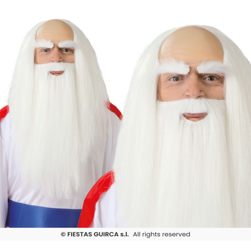 PERRUQUE & BARBE DRUIDE