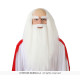 PERRUQUE & BARBE DRUIDE