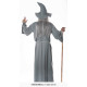 COSTUME SORCIER XL