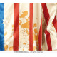 COSTUME H PATRIOT CLOWN L