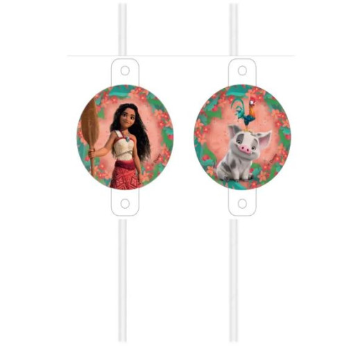 4 PAILLES MEDAILLON VAIANA