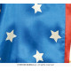 COSTUME PATRIOT CLOWN 10/12 ANS