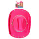 CHAPEAU COWBOY DIAMANTS ROSES