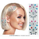BIJOUX CHEVEUX MULTI 11X21 CM