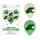 SACHET DE BALLONS X6 DINOSAURE