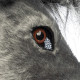MASQUE PELUCHE ÂNE