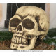 TETE DE MORT 32CM