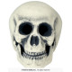TETE DE MORT 32CM