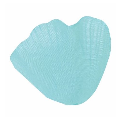 SACHET 100 PETALES TURQUOISE