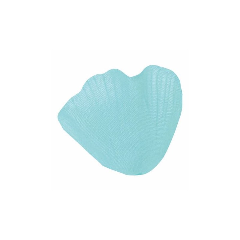 SACHET 100 PETALES TURQUOISE