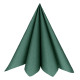 25 SERVIETTES RAINBOW VERT FONCE