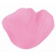 SACHET 100 PETALES ROSE