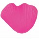 SACHET 100 PETALES FUSHIA