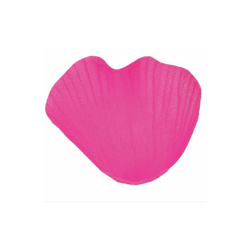 SACHET 100 PETALES FUSHIA