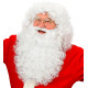PERRUQUE PERE NOEL LUXE