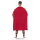 COSTUME GUERRIER ROMAIN S